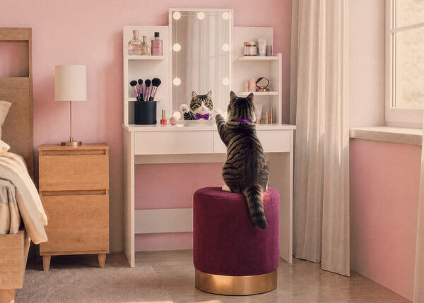 Gato sentado en un tocador con estantes de almacenaje en un dormitorio rosa.