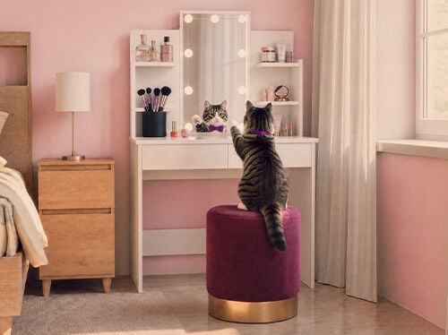 Gato sentado en un tocador con estantes de almacenaje en un dormitorio rosa.