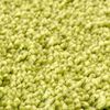 vidaXL Alfombrilla de ba&ntilde;o antideslizante Verde 50 x 80 cm PP