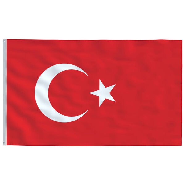 vidaXL Mástil y bandera de Turquía aluminio 5,55 m