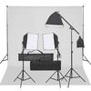 vidaXL Kit de estudio fotogr&aacute;fico con set de luces y fondo