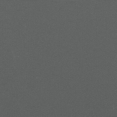 vidaXL Toldo lateral retráctil gris antracita 200x300 cm