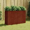 vidaXL Jardinera acero corten 120x40x80 cm