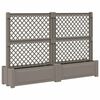 vidaXL Jard&iacute;n grande con enrejado 2 uds. PP Gris