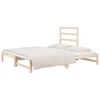 vidaXL Sof&aacute; cama extra&iacute;ble sin colch&oacute;n 2x(90x190) cm