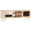 vidaXL Mueble de TV de madera maciza de mango 120x30x40 cm