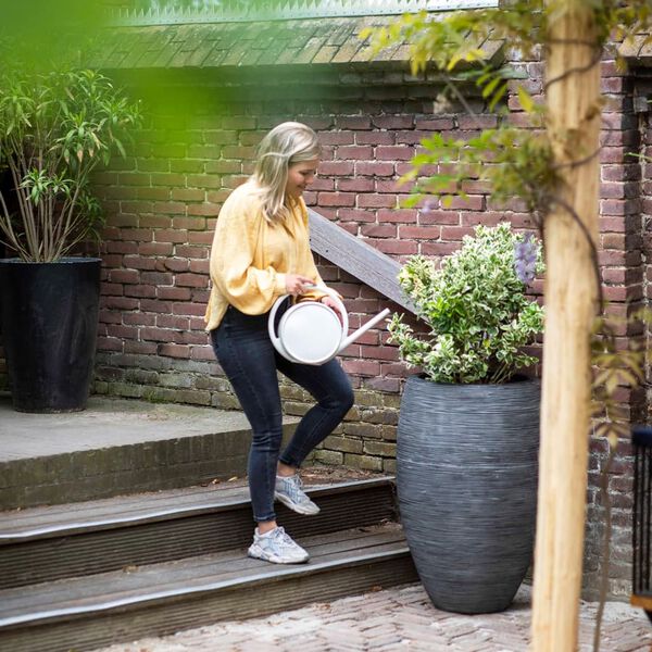 Mostrando imagen del producto 4 de 18