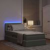 vidaXL Cama con almacenamiento y LED Gris Claro 90 x 200 cm Terciopelo