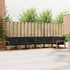 vidaXL Conjunto de sof&aacute;s de exterior con coj&iacute;n 6 pcs Natural y negro
