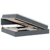 vidaXL Cama con almacenamiento y LED con LED Gris oscuro 200 x 200 cm