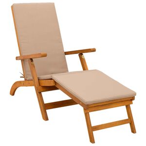 vidaXL Recliner y tumbona plegable 55 x 146 x 91 cm