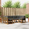 vidaXL Conjunto de sof&aacute;s de exterior 6 pcs Natural y Antracita