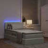 vidaXL Cama con almacenamiento y LED Gris Claro 90 x 190 cm Terciopelo