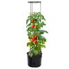 vidaXL Macetero para tomates polipropileno gris antracita &Oslash;39x150 cm