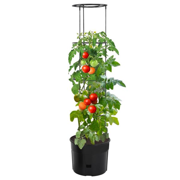 vidaXL Macetero para tomates polipropileno gris antracita &Oslash;39x150 cm