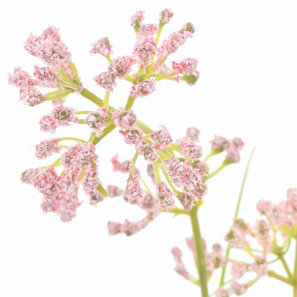 vidaXL Flora Artificial 95 cm Pl&aacute;stico