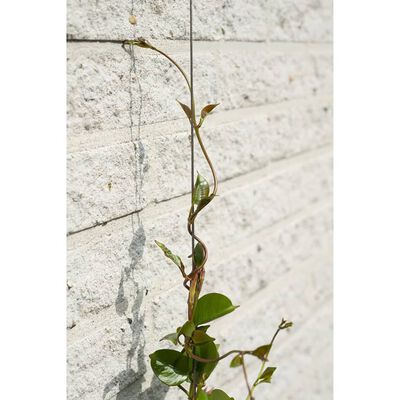 Nature Juego de enrejado de alambre para plantas trepadoras 2 unidades