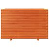 Imagen en miniatura del producto 5 de 10