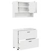 vidaXL Juego de muebles de ba&ntilde;o con caj&oacute;n con estante 2 pcs brillante