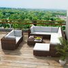 vidaXL Set muebles de jardín 10 pzas y cojines ratán sintético marrón