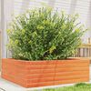 vidaXL Jardinera de madera maciza pino marr&oacute;n cera 70x70x23 cm