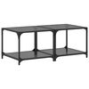 vidaXL Mesas de centro 2 uds vidrio negro y acero 50x50x40 cm