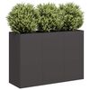 vidaXL Jardinera de acero laminado en fr&iacute;o negro 120x40x80 cm