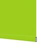 vidaXL Estor Enrollable Opaco hojas verde 85x150 cm Tela Ancho 80,7 cm