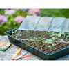 Nature Propagator Mini Kit 7x11 células