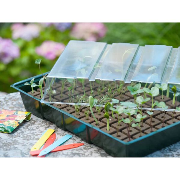 Nature Propagator Mini Kit 7x11 células