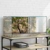 vidaXL Terrario Transparente 80 x 40 x 40 cm Cristal