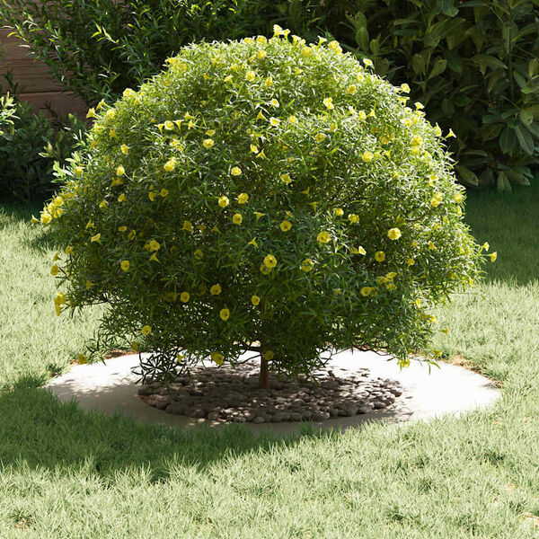 Mostrando imagen del producto 3 de 9
