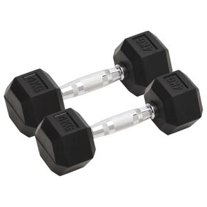 vidaXL Mancuernas 2 unidades total hierro fundido 4 kg