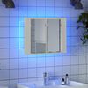 vidaXL Armario espejo de ba&ntilde;o con luz LED acr&iacute;lico blanco 60x12x45 cm