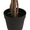Imagen en miniatura del producto 3 de 5