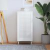 vidaXL Puerta de armario de lamas madera pino blanco 99,3x49,4 cm