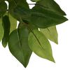 vidaXL &Aacute;rbol ficus artificial con 1260 hojas verde 200 cm