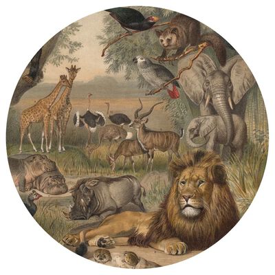 WallArt Papel pintado de pared redondo Animals of Africa 142,5 cm