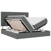 vidaXL Cama con tira de luces LED Gris oscuro 200 x 200 cm tela