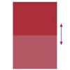 vidaXL Estor Enrollable Opaco Rojo 155x210 cm Tela Ancho 151,6 cm