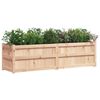vidaXL Jardinera de madera maciza de pino 180x50x50 cm