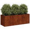 vidaXL Jardinera oxidada 120x40x40 cm acero corten