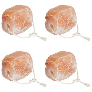 vidaXL Piedras de Sal para Lamer Rosa Sal Rock