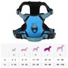 vidaXL Arn&eacute;s para perros con correa y collar ajustable azul L