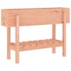vidaXL Arriate elevado jard&iacute;n madera maciza abeto Douglas 101x30x69 cm