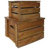 vidaXL Juego de cajas de almacenaje 2 pzas madera maciza de caoba