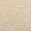 vidaXL Alfombra de pelo corto beige 160x230 cm