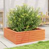 vidaXL Jardinera de madera maciza pino marr&oacute;n cera 70x70x23 cm