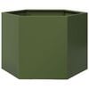 SteelGreen