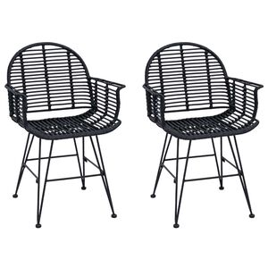 vidaXL Silla de comedor 2 uds. Ratan e Hierro Negro 57 x 55 x 85 cm